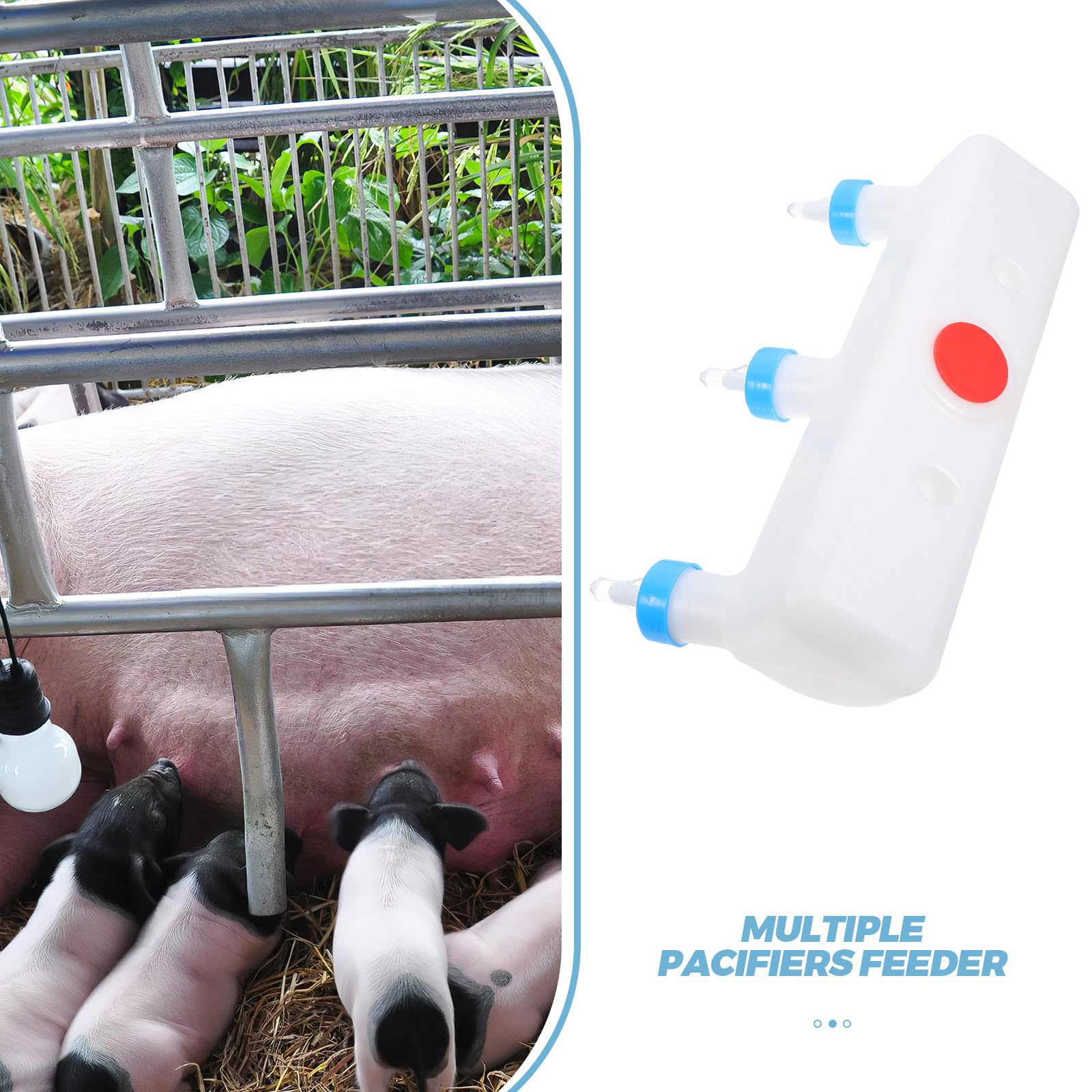 Abaodam Mangiatoia per Agnelli e Capre 3l in Plastica Bianca Capezzoli Multipli per Migliorare Efficienza Alimentazione e Conservazione Latte in Fattoria