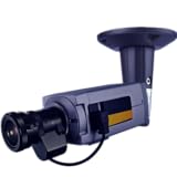 Viewer for Panasonic IP cameras