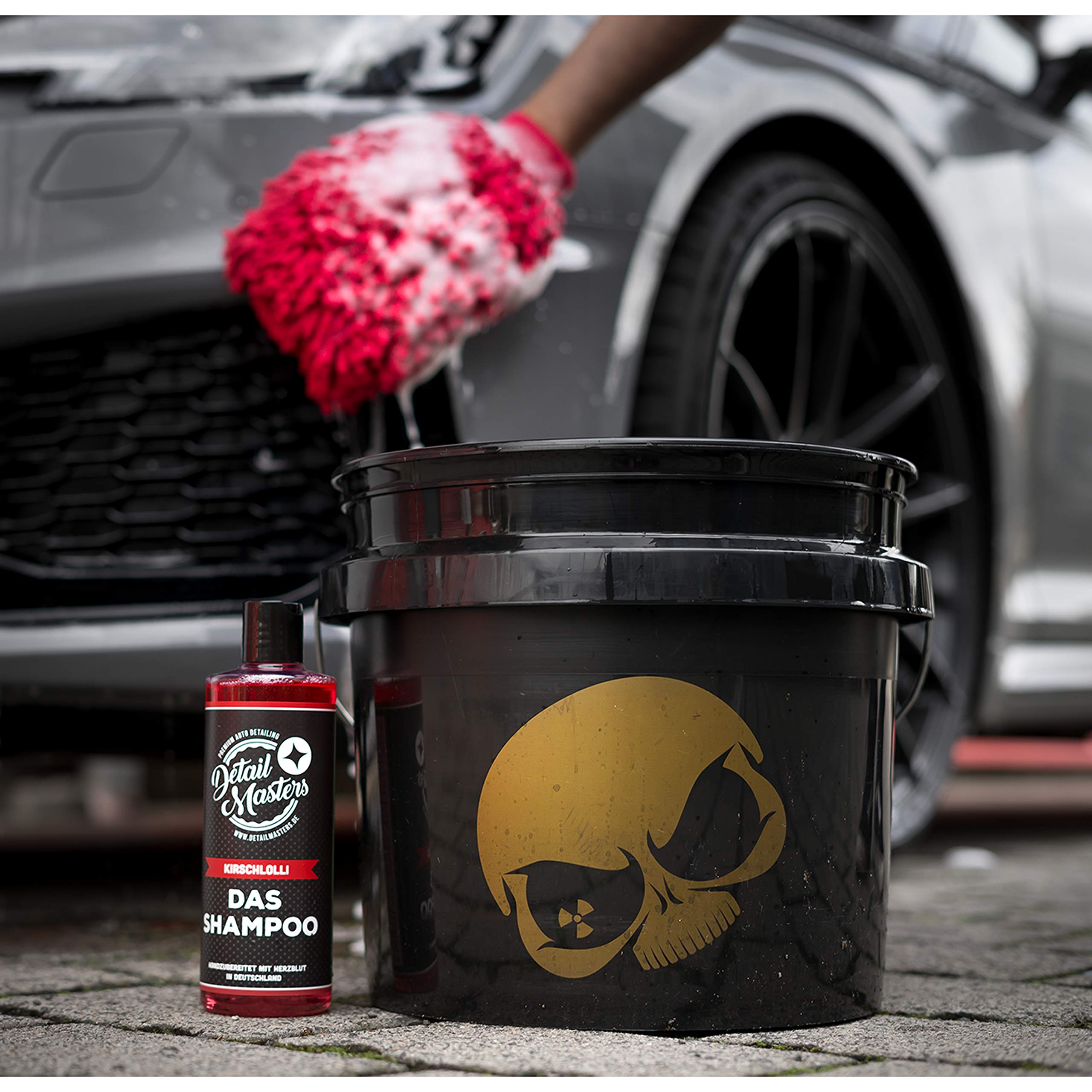 Detailmate Auto cura Set – DetailMasters – Detergente per la cura dei cerchioni, auto-shampoo, secchio per la pulizia del vetro, sigillante, pulizia interna