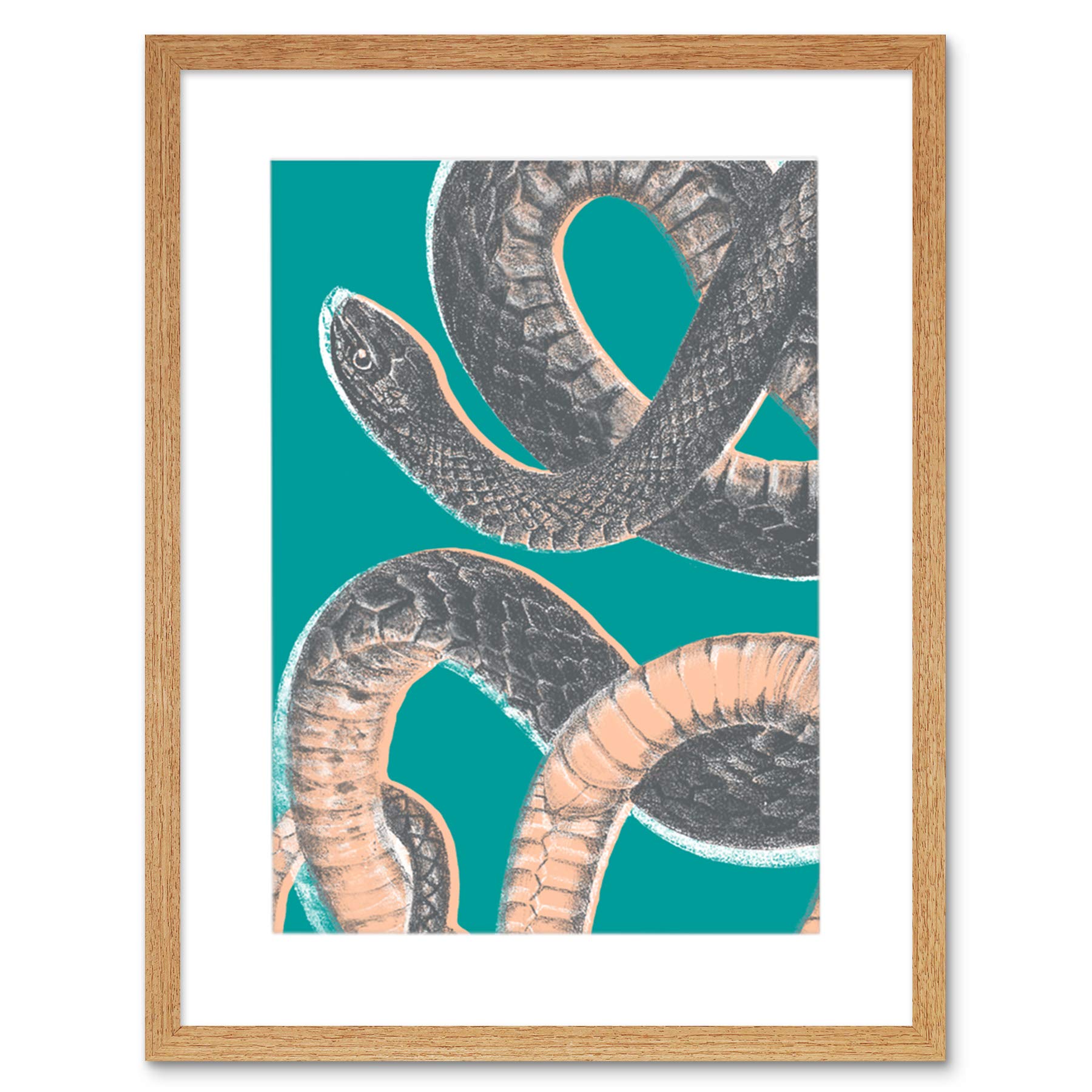 Wee Blue Coo Snake Illustration Modern Biodiversity Artwork Framed Wall Art Print 12X16 Inch
