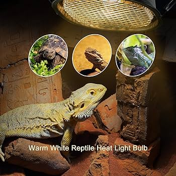 Basking Spot Crested Gecko Lamp Leopard Gecko Tank Accessories