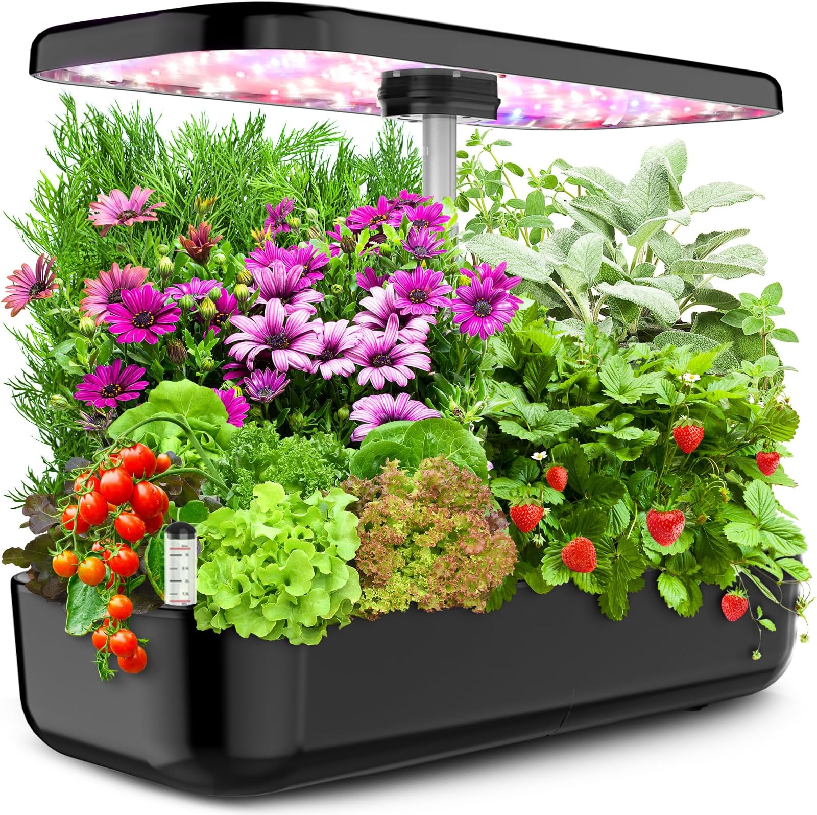 Large Size Hydroponics Growing System，12 Pods Herb Garden Kit with Grow Lights, Indoor Herb Garden with Quiet Water Pump, Automatic Timer, Height Adjustable Up to 20", Indoor Garden Gift Home Decor