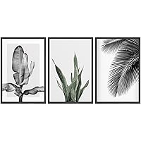 SIGNWIN Framed Canvas Print Wall Art Trio of Jungle Palms & Snake Succulents Floral Plants Photography Modern Art Minimalist Black and White for Living Room, Bedroom, Office - 16