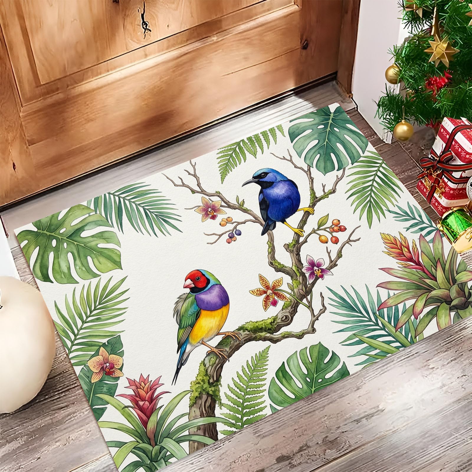 Zerbino Interni Foresta Tropicale 60X90Cm, Antiscivolo Lavabile, Tappeto Da Ingresso Uccello Ad Acquerello Naturale, Tappetino Pelo Basso Antipelo Per Porta D’Ingresso, Beige