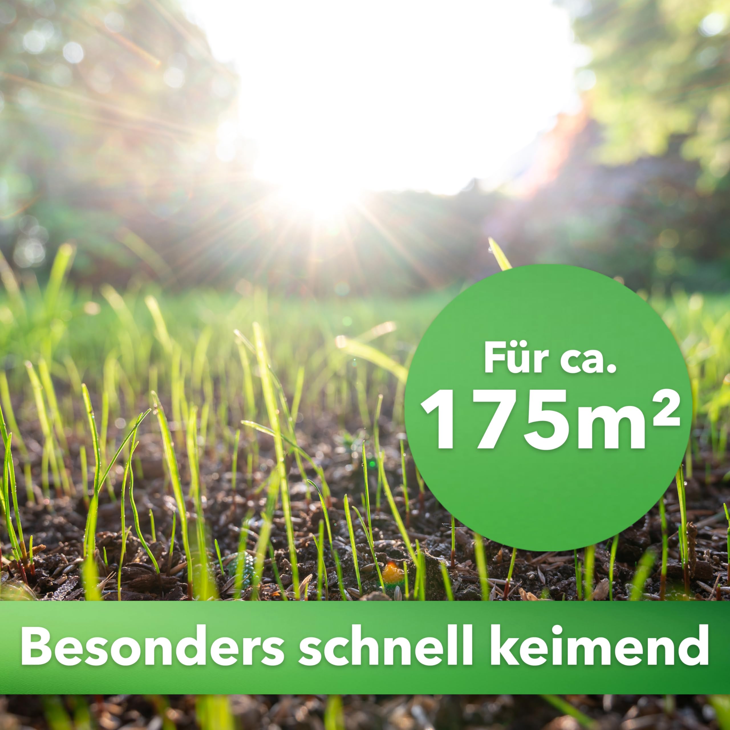 Hesa Césped de jardín universal, 5 kg para aprox. 175 m², semillas de césped de calidad para jardines domésticos y superficies residuales, fácil de limpiar y germinar rápidamente
