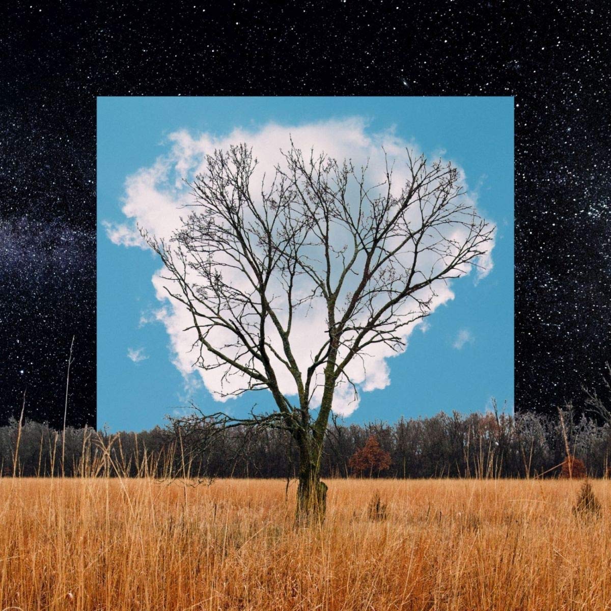 Fink / Bloom Innocent (Book Edition) *NEW CD*