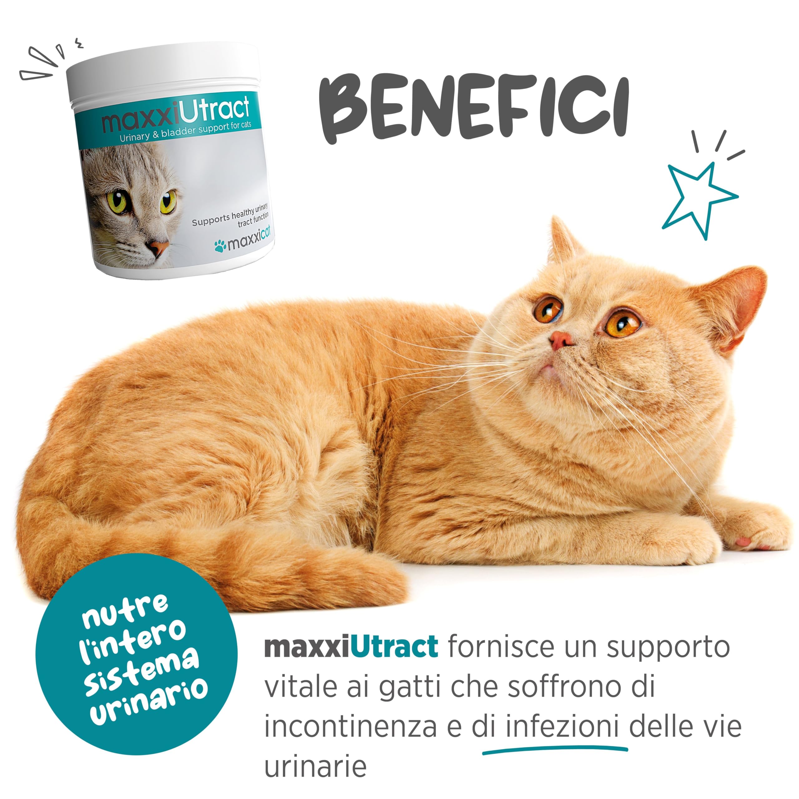 maxxipaws maxxiUtract Benessere Urinario e della Vescica - Integratore in Polvere per Gatti, 90g