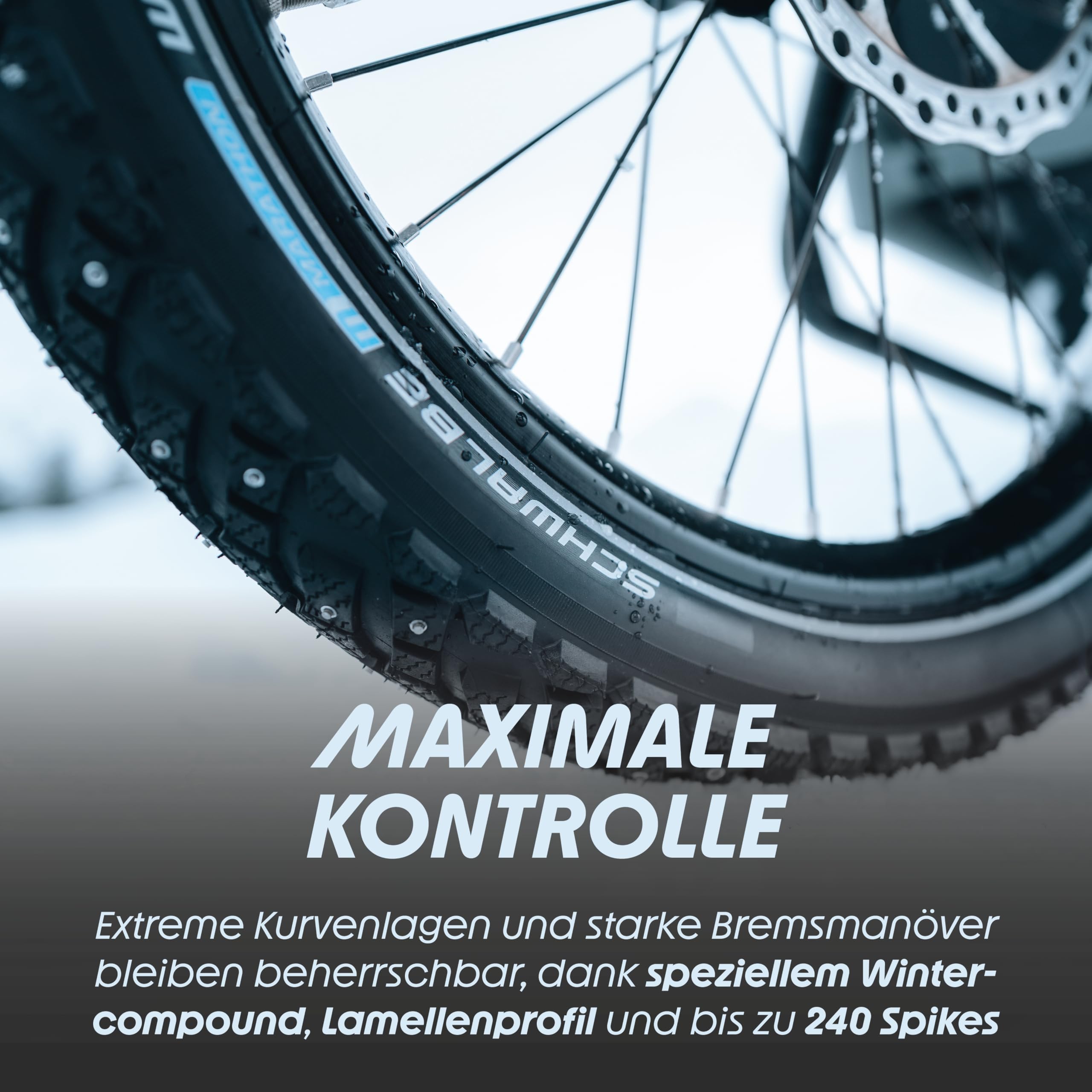 Amazon | SCHWALBE MARATHON WINTER PLUS Perf SmartGuard TwinSkin