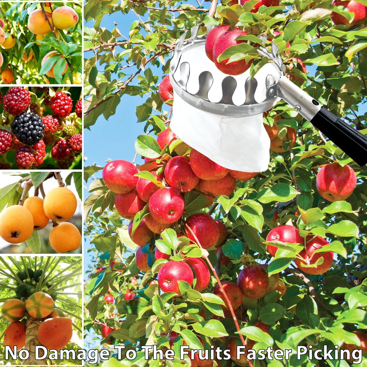 Obstpflücker mit Teleskopstiel,Jusduit 3.2M Apfelpflücker Obstpflücker mit Stoffbeutel,Obstgreifer Einfach zu Montieren,Kirschpflücker,Obstsammler für Ernteernte Apfel Orangen Pfirsichbirne Kirschen