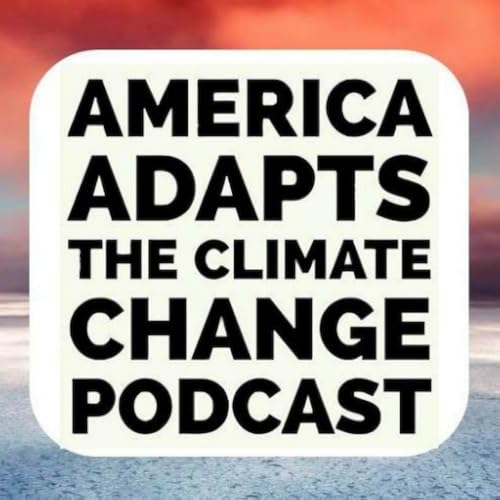 America Adapts