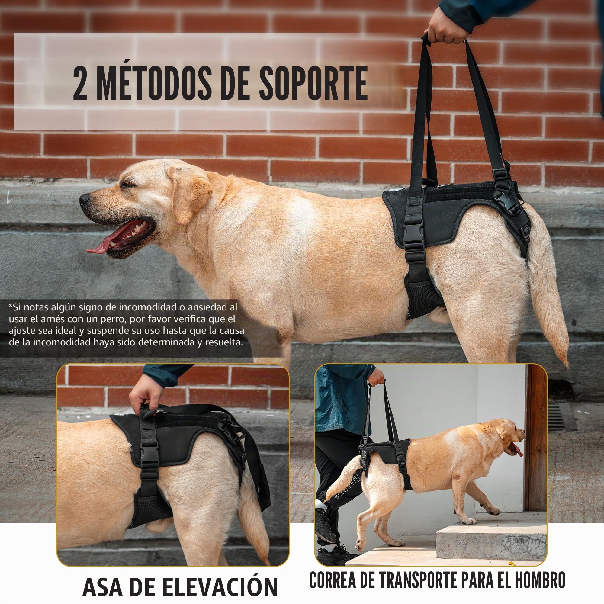 OneTigris Arnés de Apoyo Victus para Perros Medianos y Grandes - Elevación para Patas Traseras - Negro L