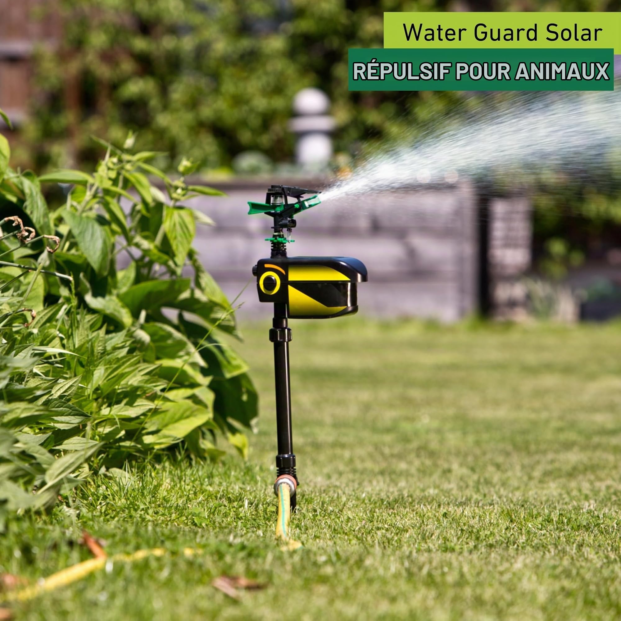 Windhager Répulsif pour Animaux Water Guard Solar, Anti-Animaux, Répulsif d'animaux avec Détecteur de Mouvement, Noir, jusqu'à 120 m², 05046