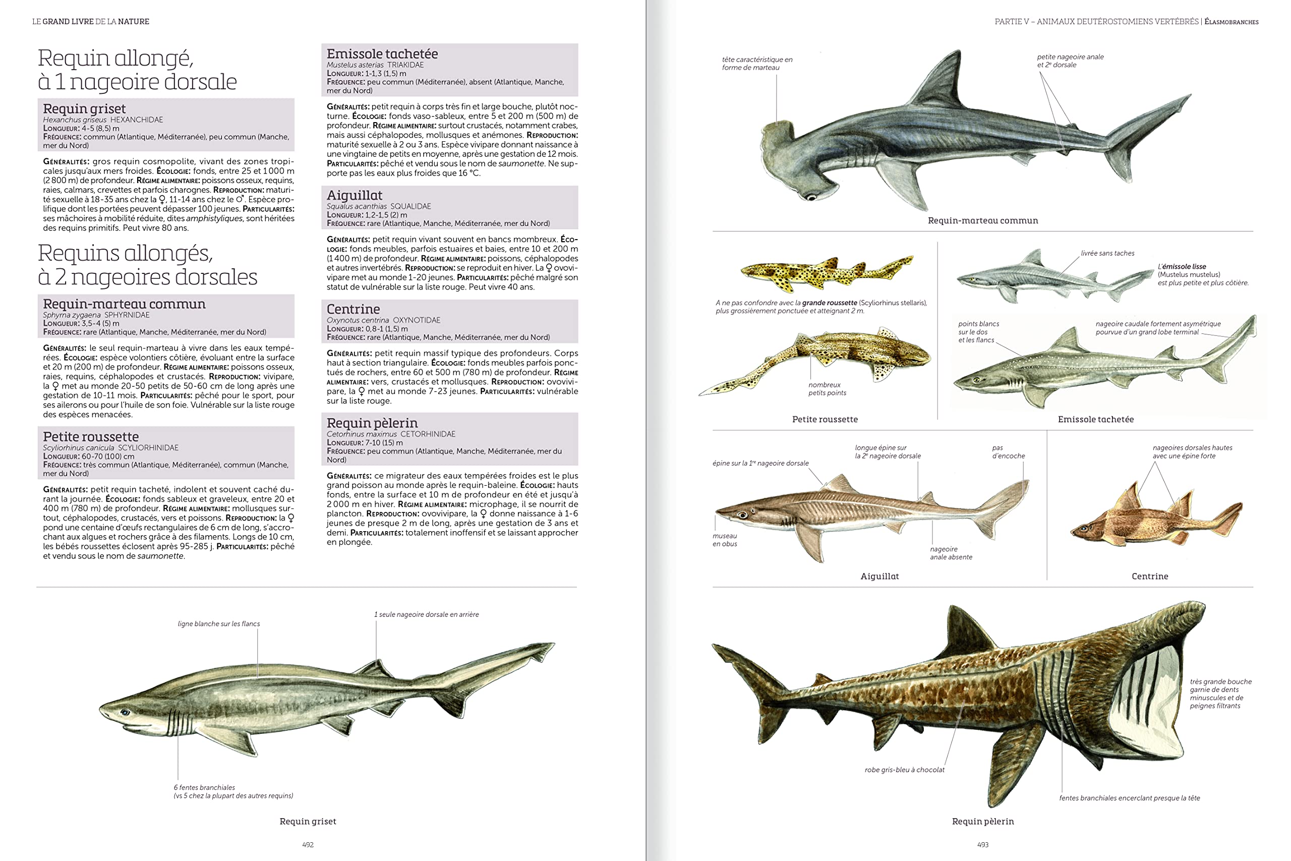 Le grand livre de la nature