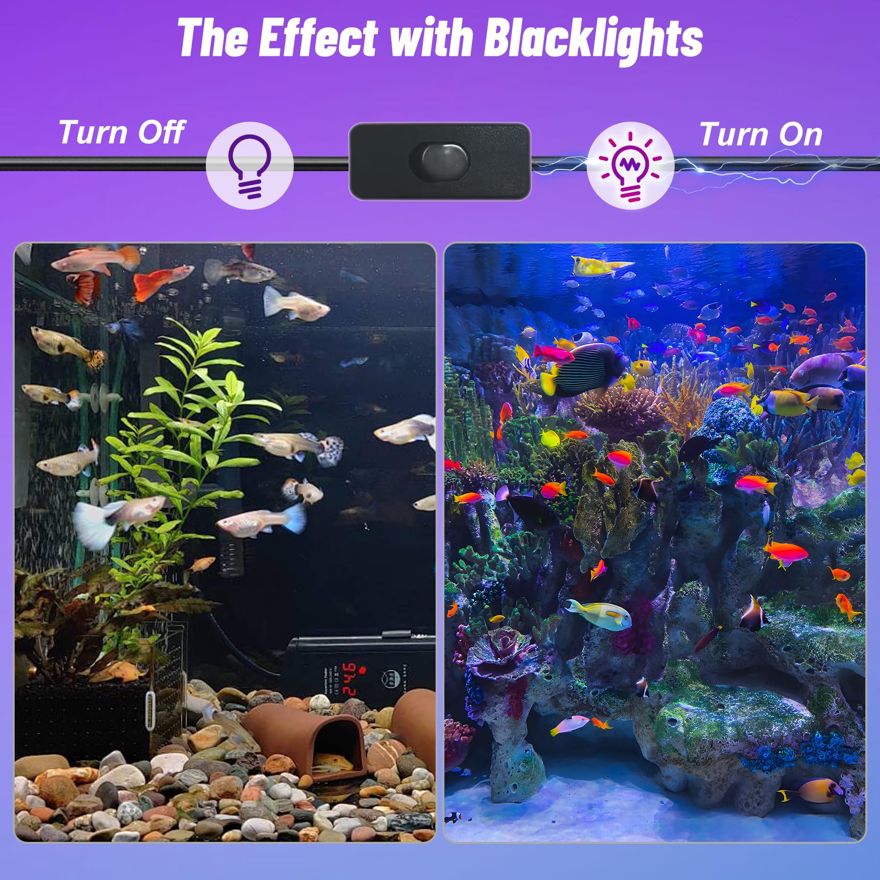 Lumiere Noire 100W 2 pièces, Projecteur Lumière Noire Étanches IP66, 395-400nm Lumiere UV pour Soiree Fluo, Disco DJ, Fête, Halloween, Noël, Peinture Corporelle, Aquariums