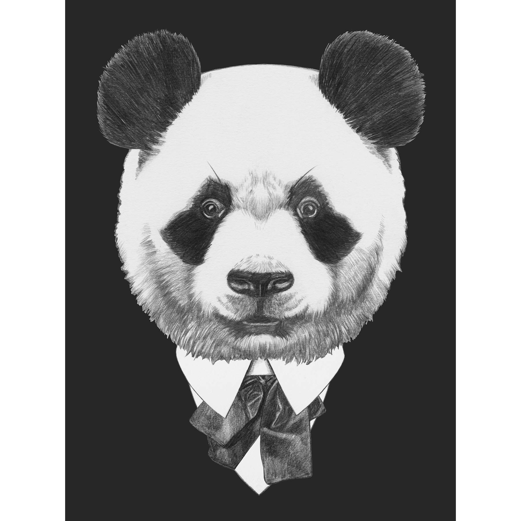 Wee Blue Coo Bow Tie Panda Bear Drawing Art Print Poster Wall Decor