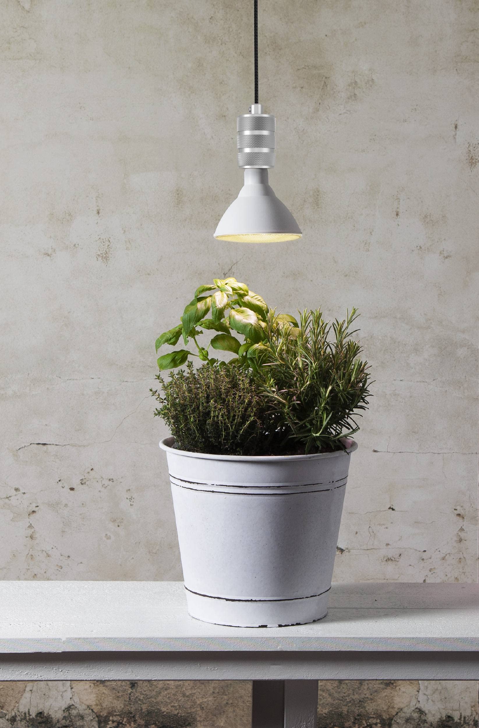 Eglo E27 LED Grow Light Bulb, Growing lamp for Indoor Plants Yellow Seed Light, PAR38, 16 watts, 2700 Kelvin, 1700 lumens - Image 4