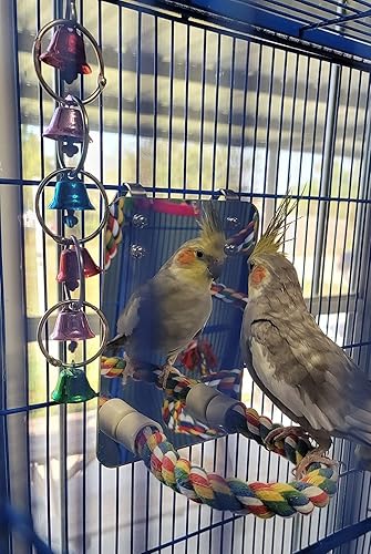 Miniatura 6 de LOPERDEVE Espejo de pájaro de 10.6 pulgadas con cuerda, perca para pájaros, columpio cómodo, perca para grises, amazonas, periquitos, cacatúas,