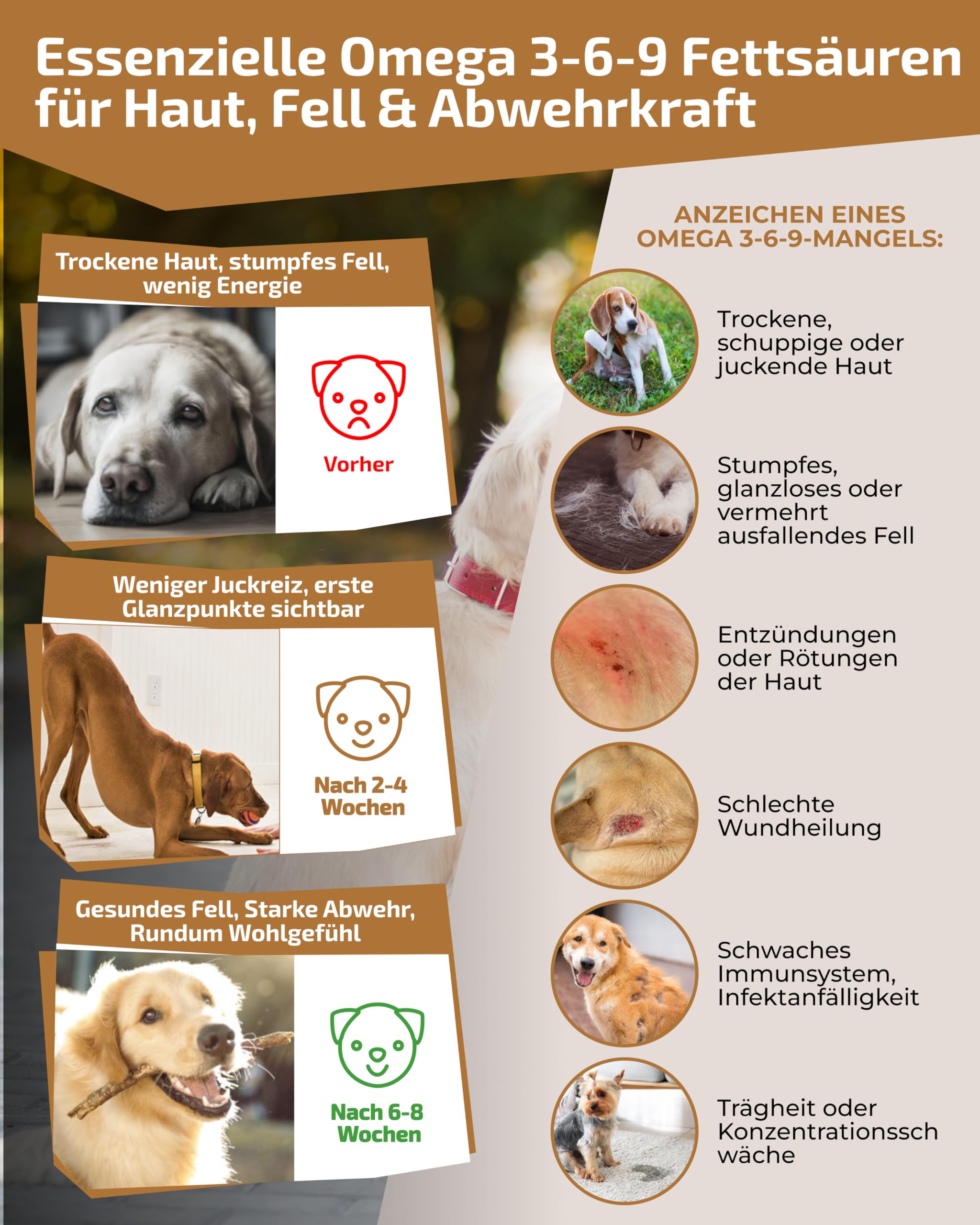 Huile 5 en 1 pour chien - Fabriqué en Allemagne - 100 % naturelle et testée en laboratoire - Complexe Omega 3-6-9 avec huile de saumon de qualité supérieure, huile de lin, huile de colza et huile de