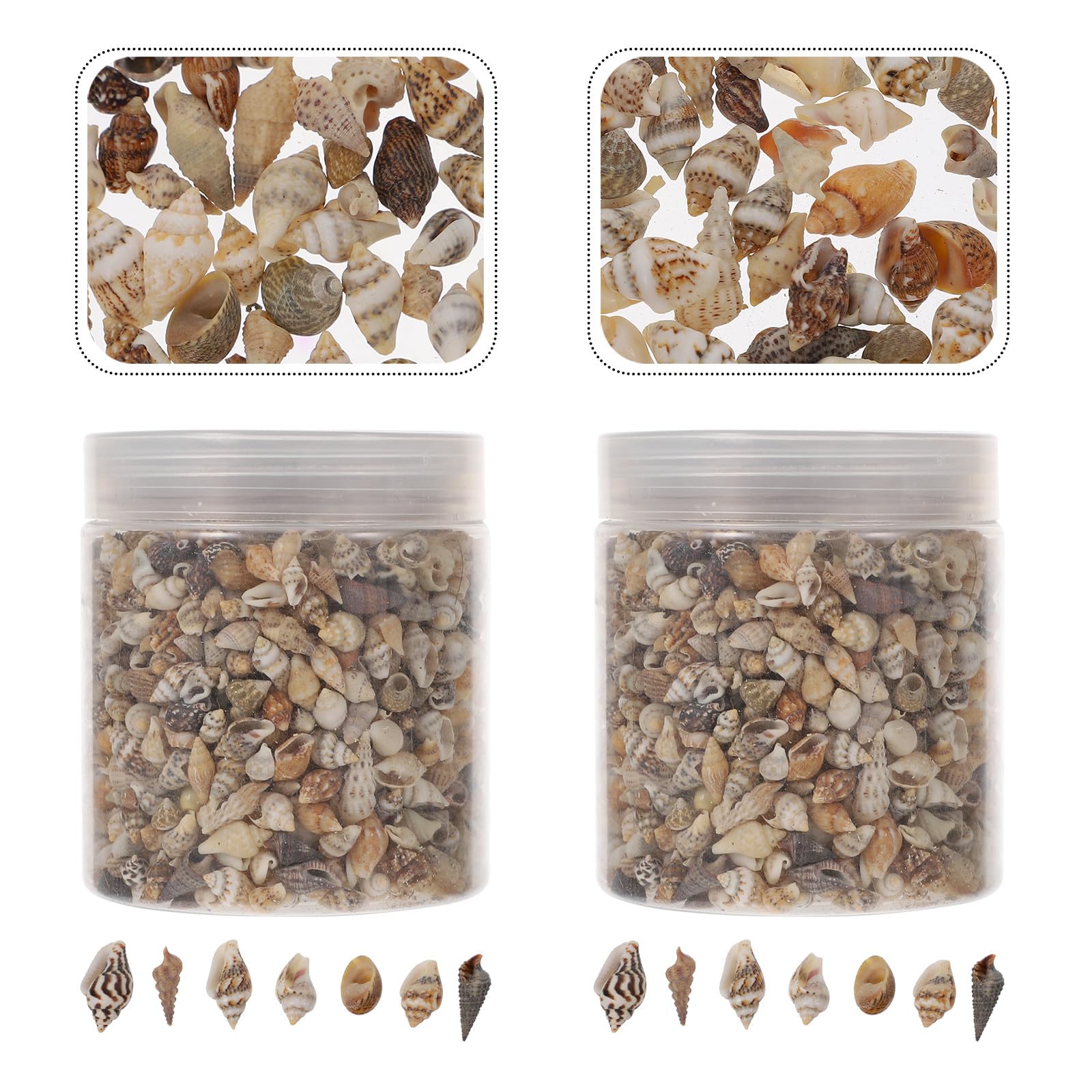 HOMSFOU Conchiglie Naturali Mini per Decorazioni Fai da Te, Riempitivo Artigianale per Vasi e Oggetti, Accessori Epossidici Resistenti alla Corrosione, Set da 2 Scatole per Ambienti
