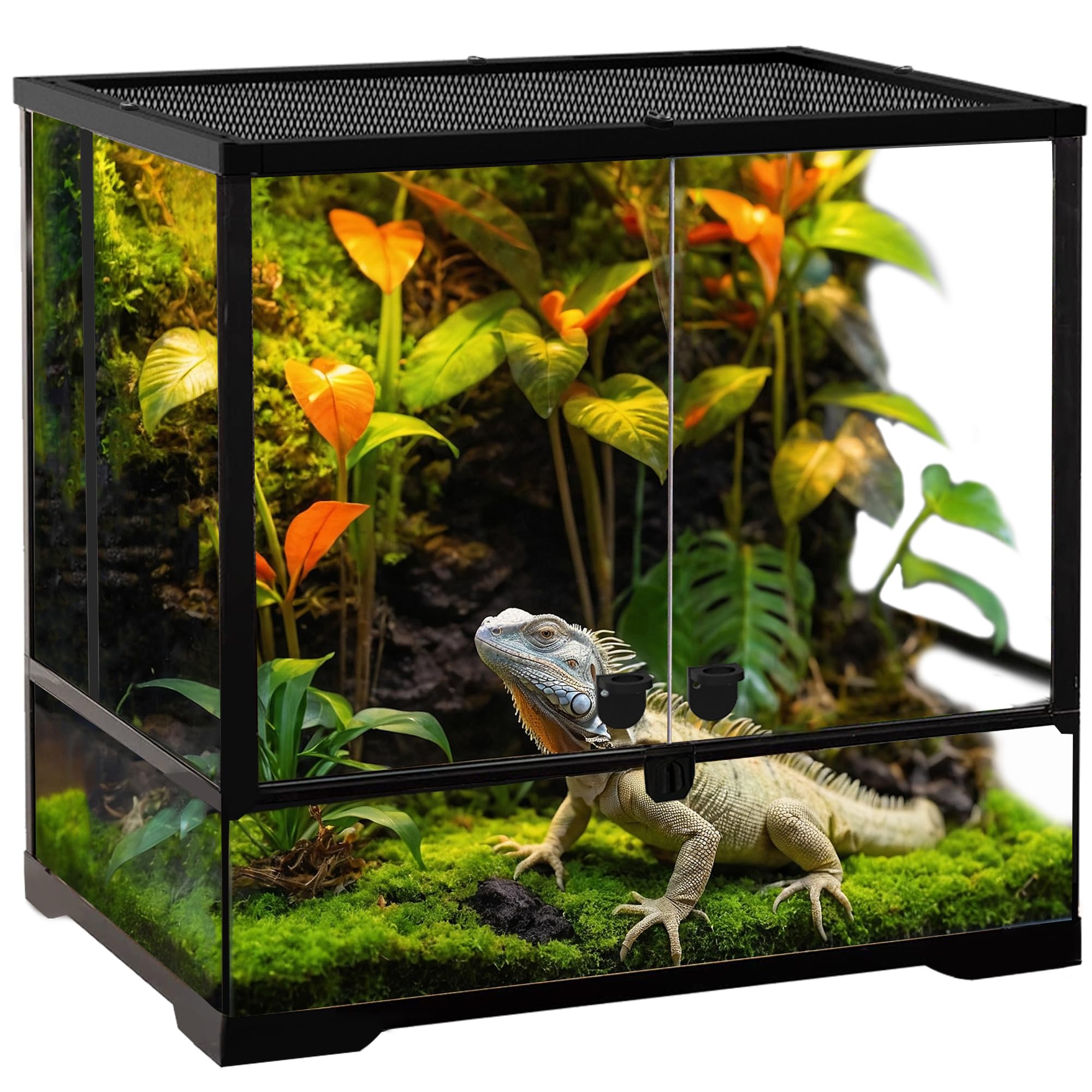 Reptiles Amphibians Buying Guide