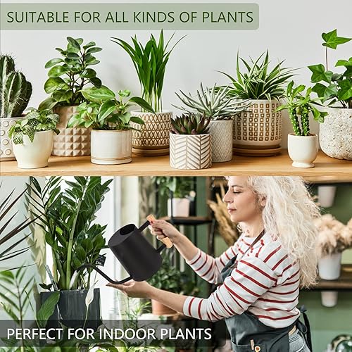 Miniatura 4 de Regadera de plantas, regadera de metal de 35 onzas, plantas de interior de acero inoxidable con boquilla curva larga, bonsái pequeño para jardín al