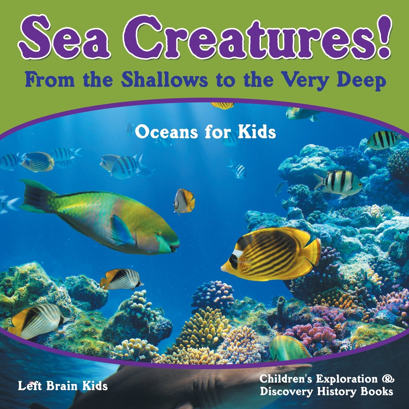 Sea Creatures! From the Shallows to the Very Deep - Oceans for Kids - Children's Exploration & Discovery History Books