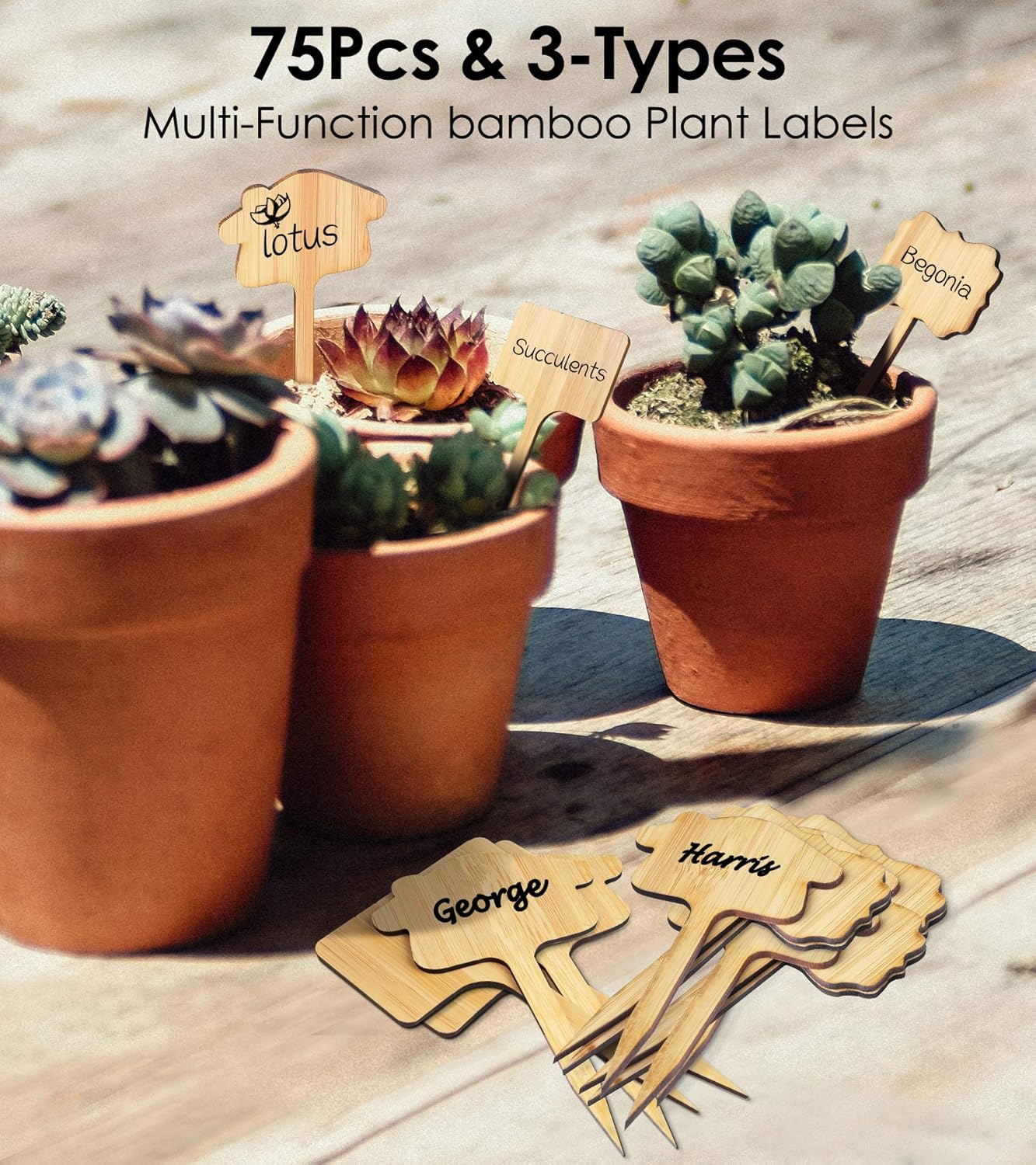75 Pcs Bamboo Plant Labels with 2 Marker Pens, 3Shapes Waterproof Garden Labels Plant Markers