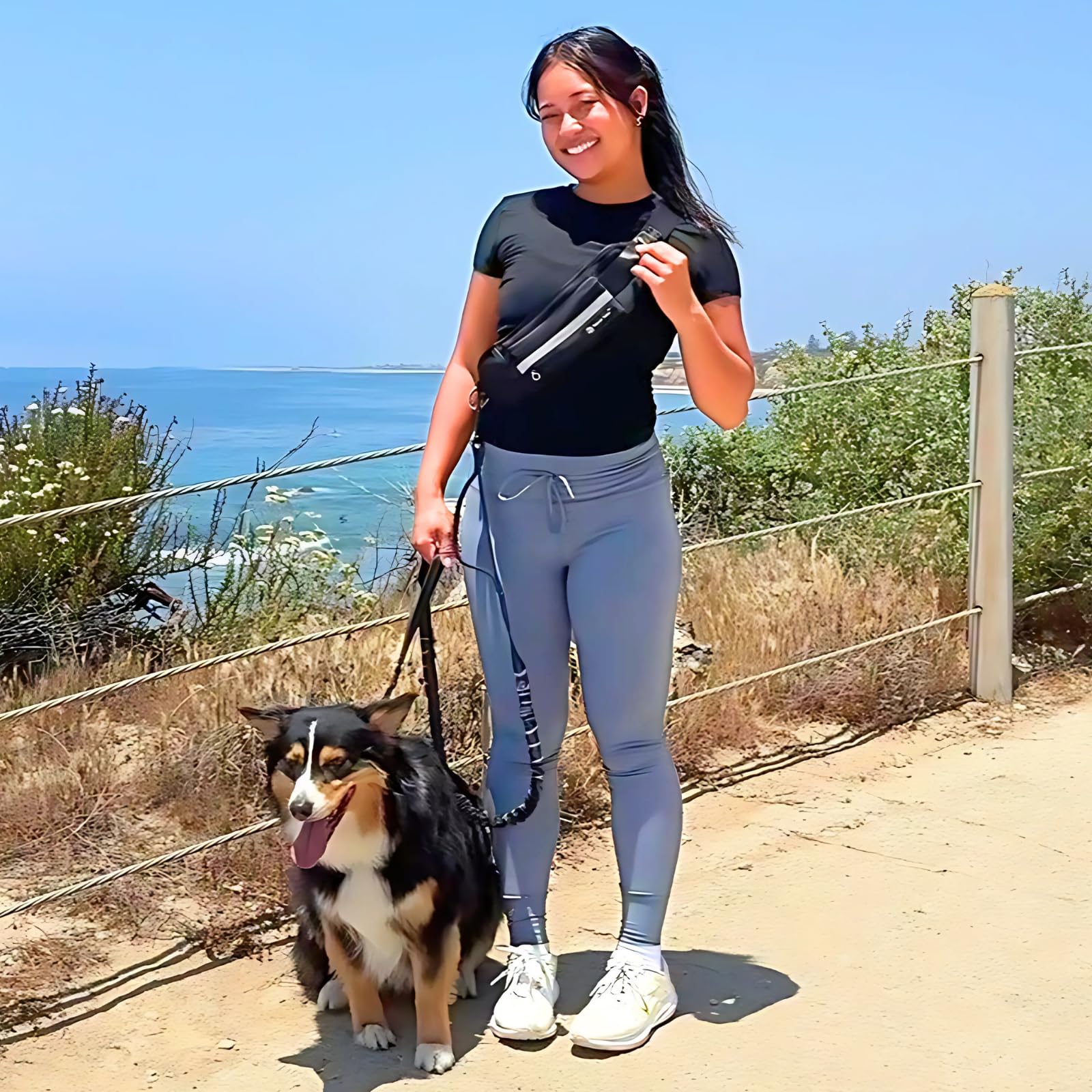 Tails & Tales Correa para perro manos libres con riñonera, asas acolchadas dobles y tira reflectante, elástica que absorbe los golpes para perros grandes y medianos de hasta 100 libras, correr