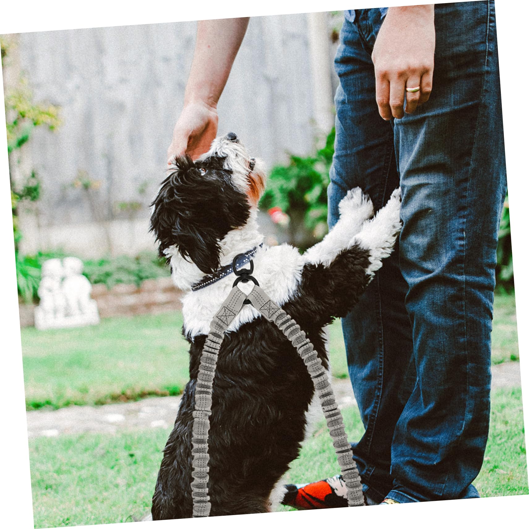 GRIRIW Reflective Double Dog Leash for Outdoor Use Elastic Stretchable Easy One Hand Control Lightweight Convenient Enhances Night Safety