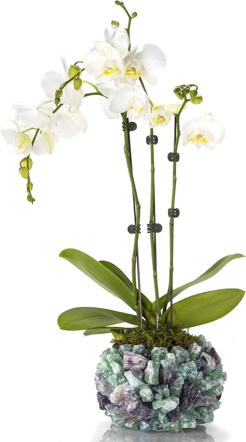 KALIFANO Natural Quartz Cluster Crystal Vase - Handmade Decorative High Energy Elestial Geode with Healing Effects