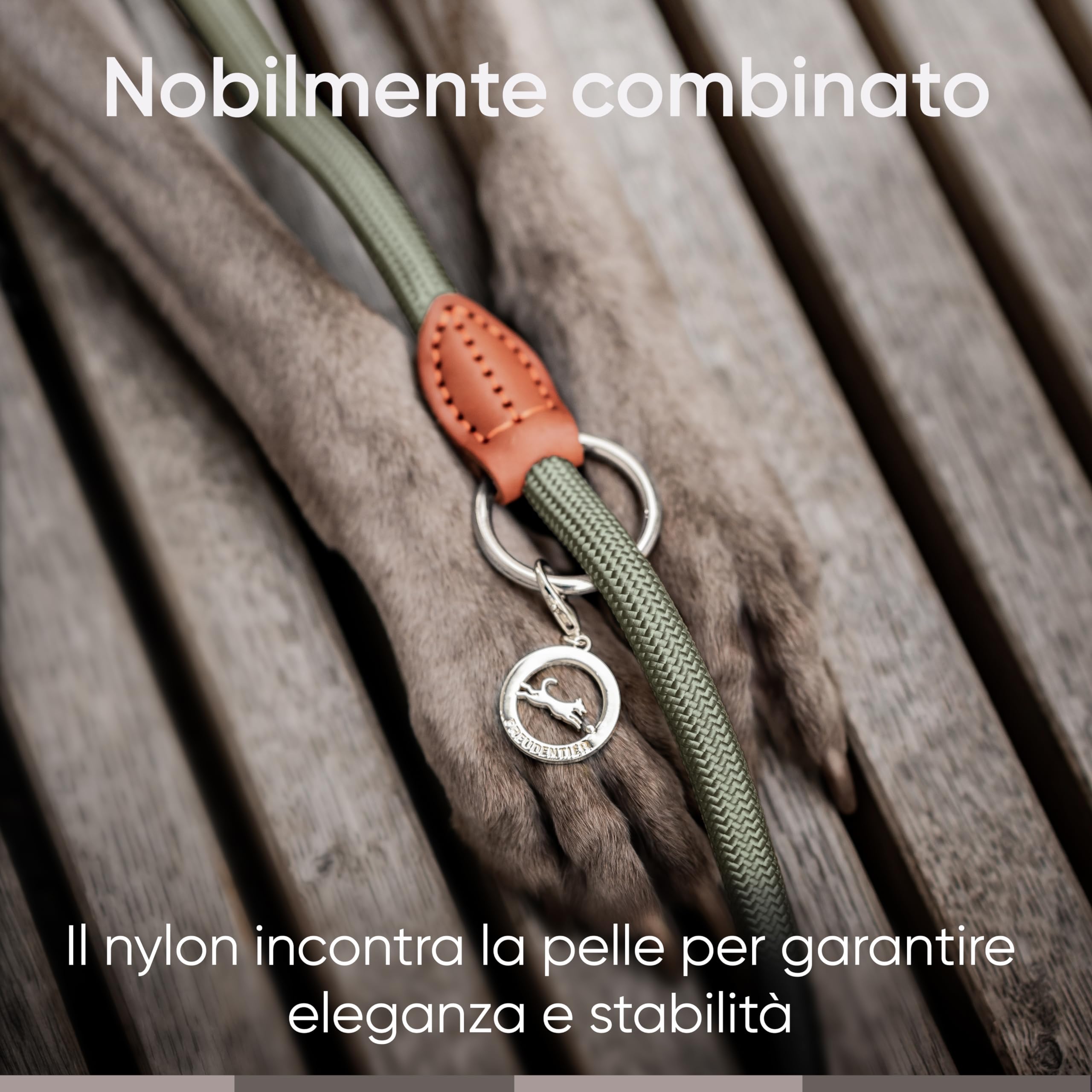 FREUDENTIER Guinzaglio per cani 2m - Guinzaglio regolabile - Robusto nylon rifinito con eleganti elementi in pelle marrone - Guinzaglio per cani di taglia media e grande (verde bosco)