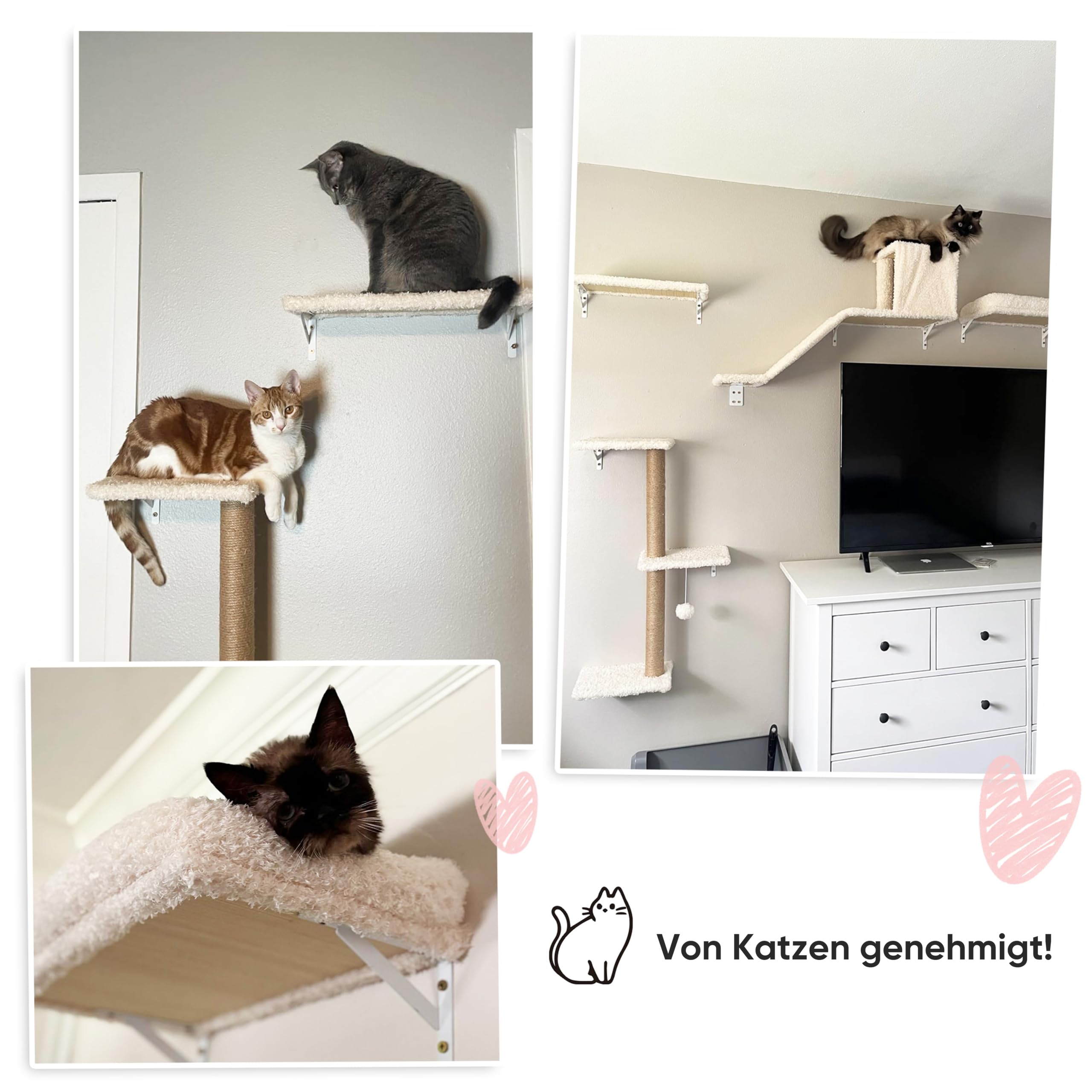 FUKUMARU Étagères Murales pour Chat, 4 en 1 Ensemble de Meubles Muraux, Mur d'escalade en Bois avec Griffoir, Pont et Lit pour Chat, Beige