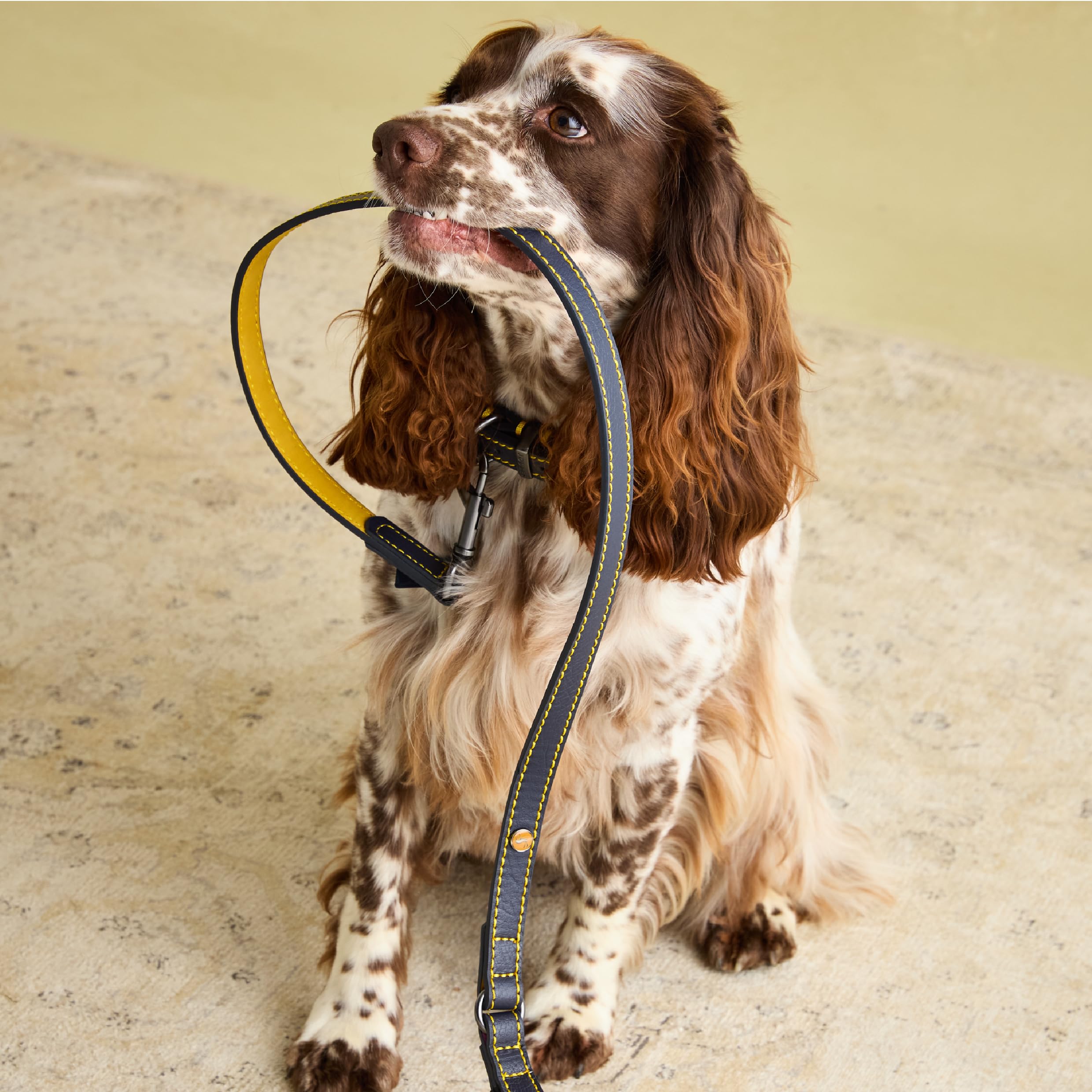 Joules For Dapper Dogs Navy Leather Dog Lead - With Padded Handle