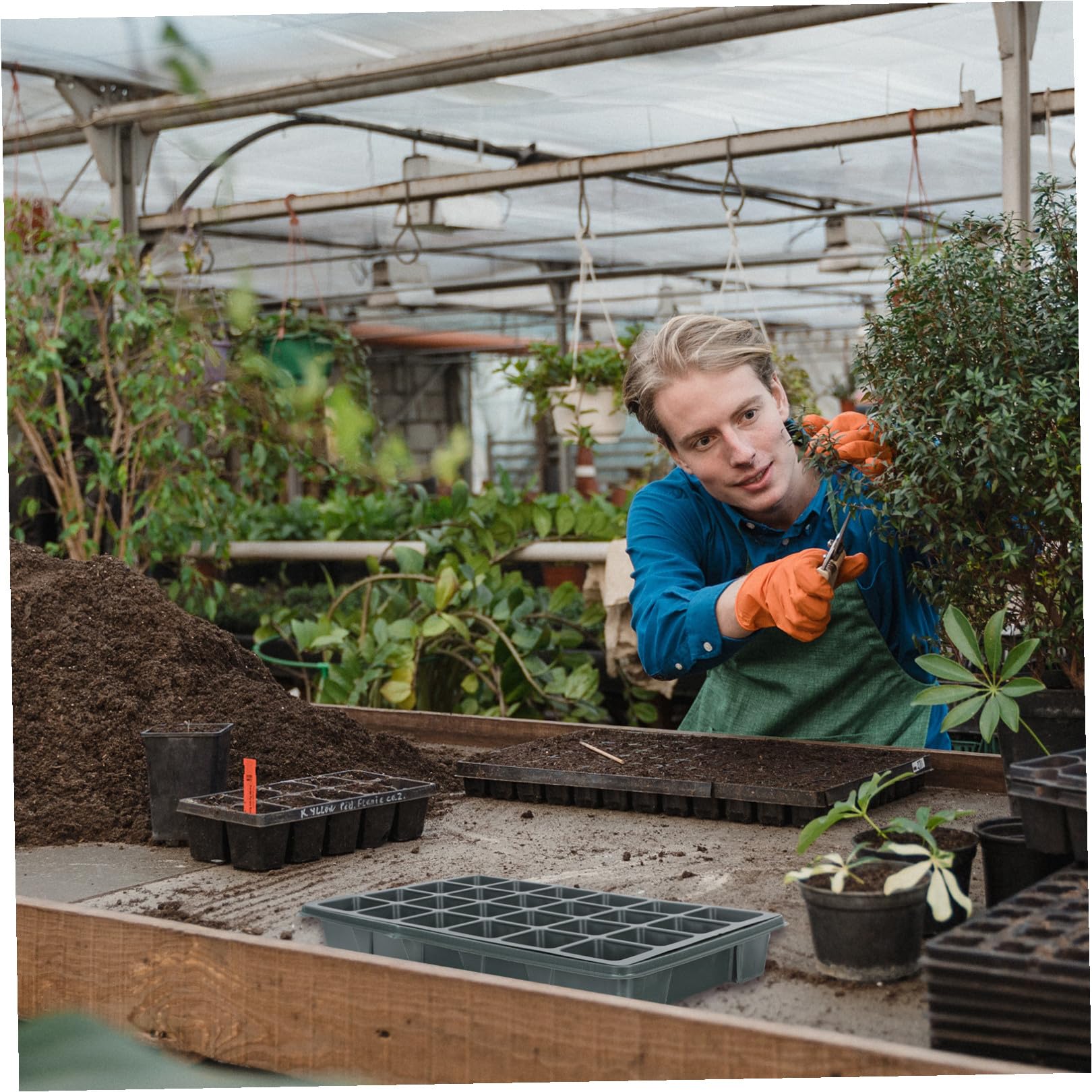 Hemobllo 2pezzi Vassoi per Germinazione Piante con Celle Trasparenti e Ventilate per Facile Semi e Piantine per e Coltivazioni Domestiche