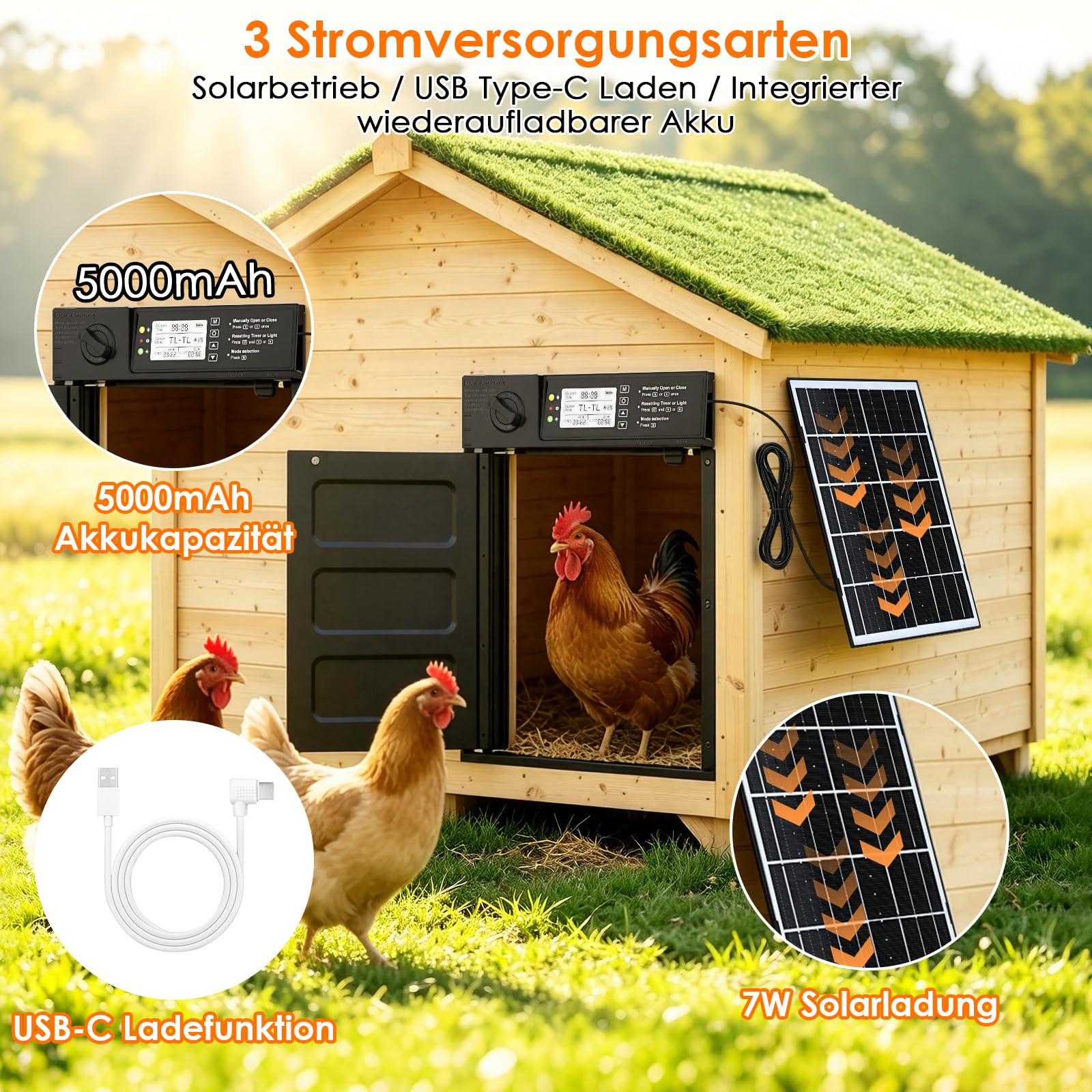 Größe Automatische Hühnerklappe Solar, Seitlich Öffnende Doppelschiebetür, Elektrische Hühnerklappe Automatisch Hühnertür mit Timer, Lichtsensor, Fernbedienung, Intelligenter Einklemmschutz