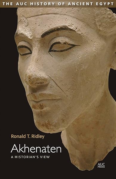 Akhenaten: A Historian's View (Auc History of Ancient Egypt)