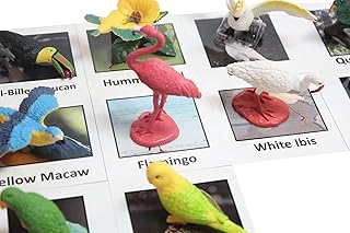Curious Minds Busy Bags Montessori Tropical Bird Animal Match - Miniature Exotic Bird Animal Toy Figurines with Matching Cards Preschool Matching Game
