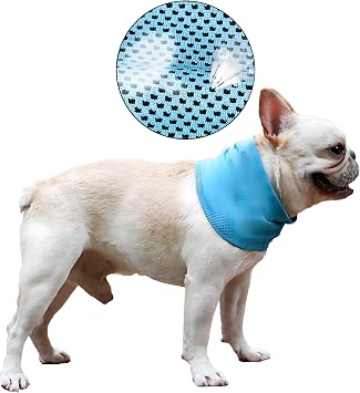 DELIFUR Dog Instant Cooling Bandana Pet Breathable Scarf Cats Ice Collar for Summer Blue, M