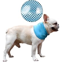 DELIFUR Dog Instant Cooling Bandana Pet Breathable Scarf Cats Ice Collar for Summer Blue, M