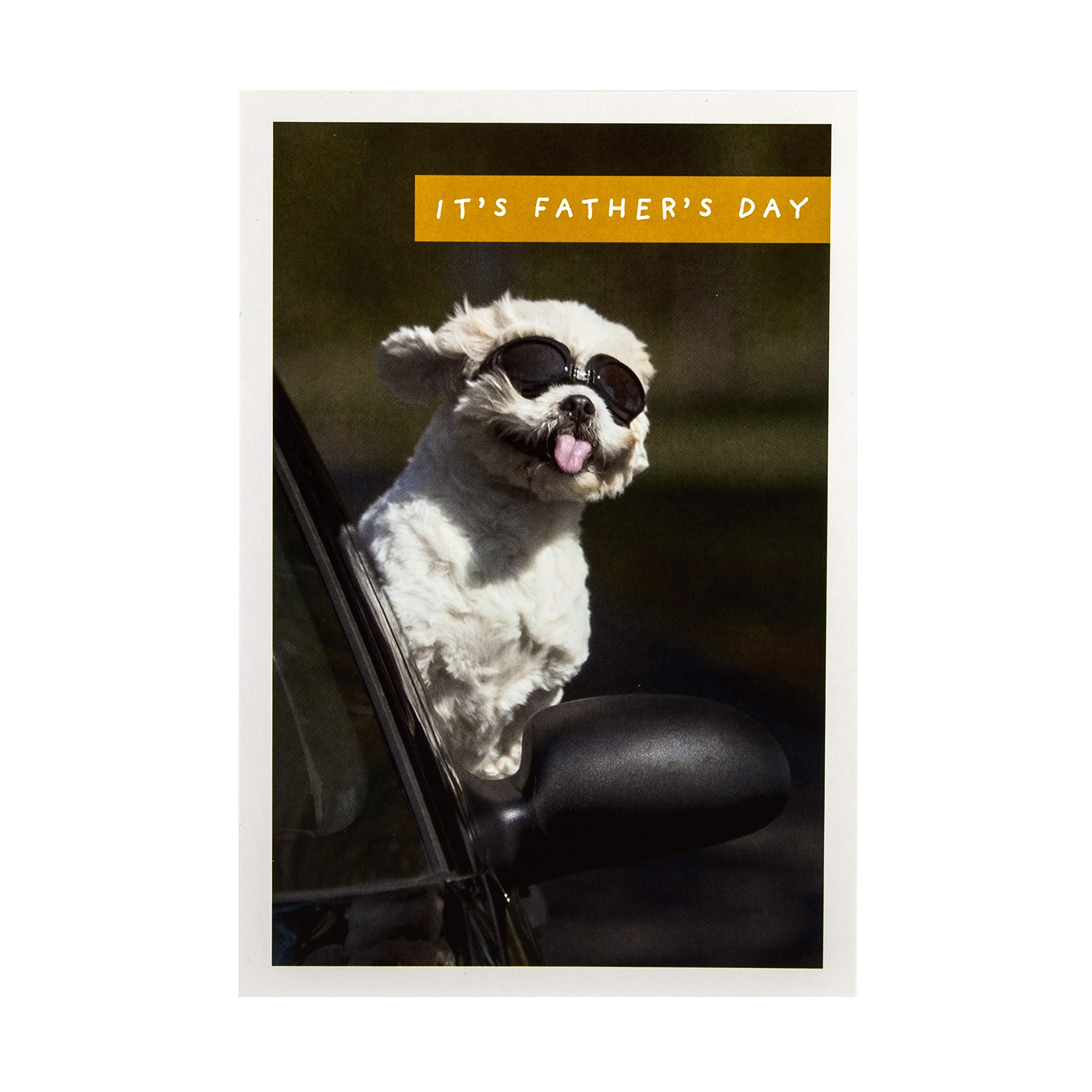 Hallmark Carte De Fête Des Pères De La Part D'un Chien - Motif Illustré Mignon - Multicolore (25568911