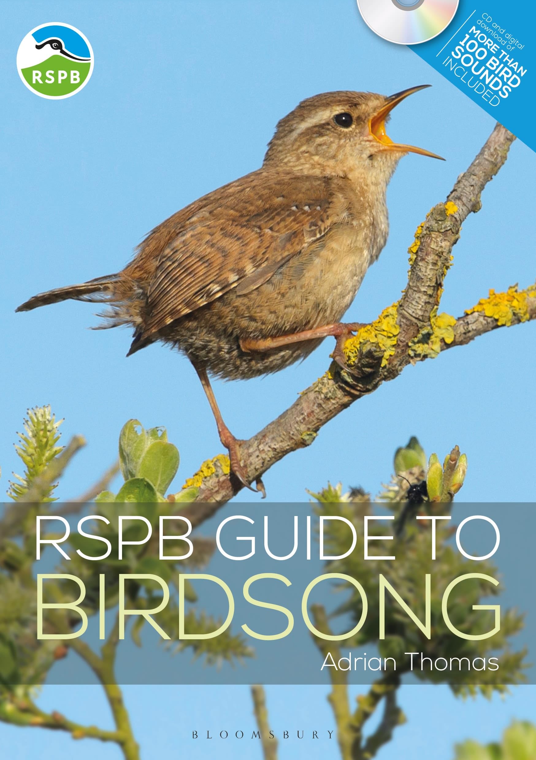 RSPB Guide to Birdsong Paperback – 4 April 2019