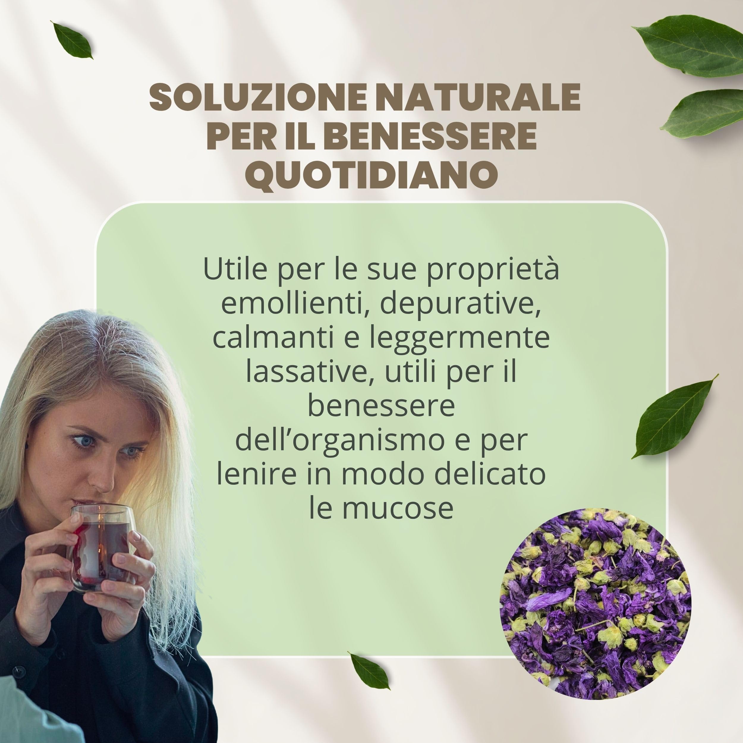 Patrizio Breseghello - Malva Silvestre Fiore Blu Piccolo Intero 1 kg, 100% Naturale, per Infusi e Tisane alle Erbe Officinali