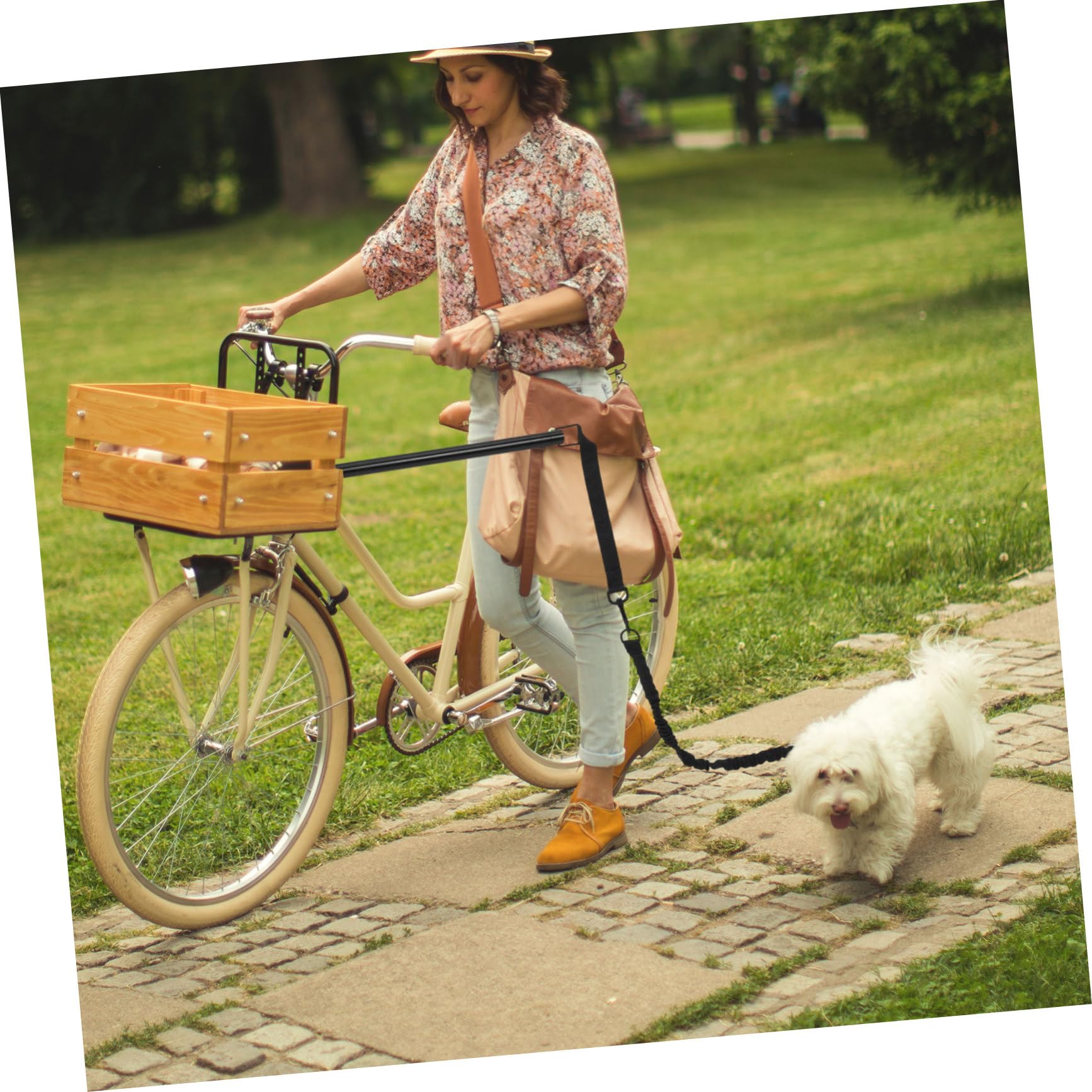 BESTonZON Laisse pour pour Chien Résistante à Usure Rétractable Conçue pour Chiens De Petite Et Moyenne Polyvalente Intérieur Extérieur