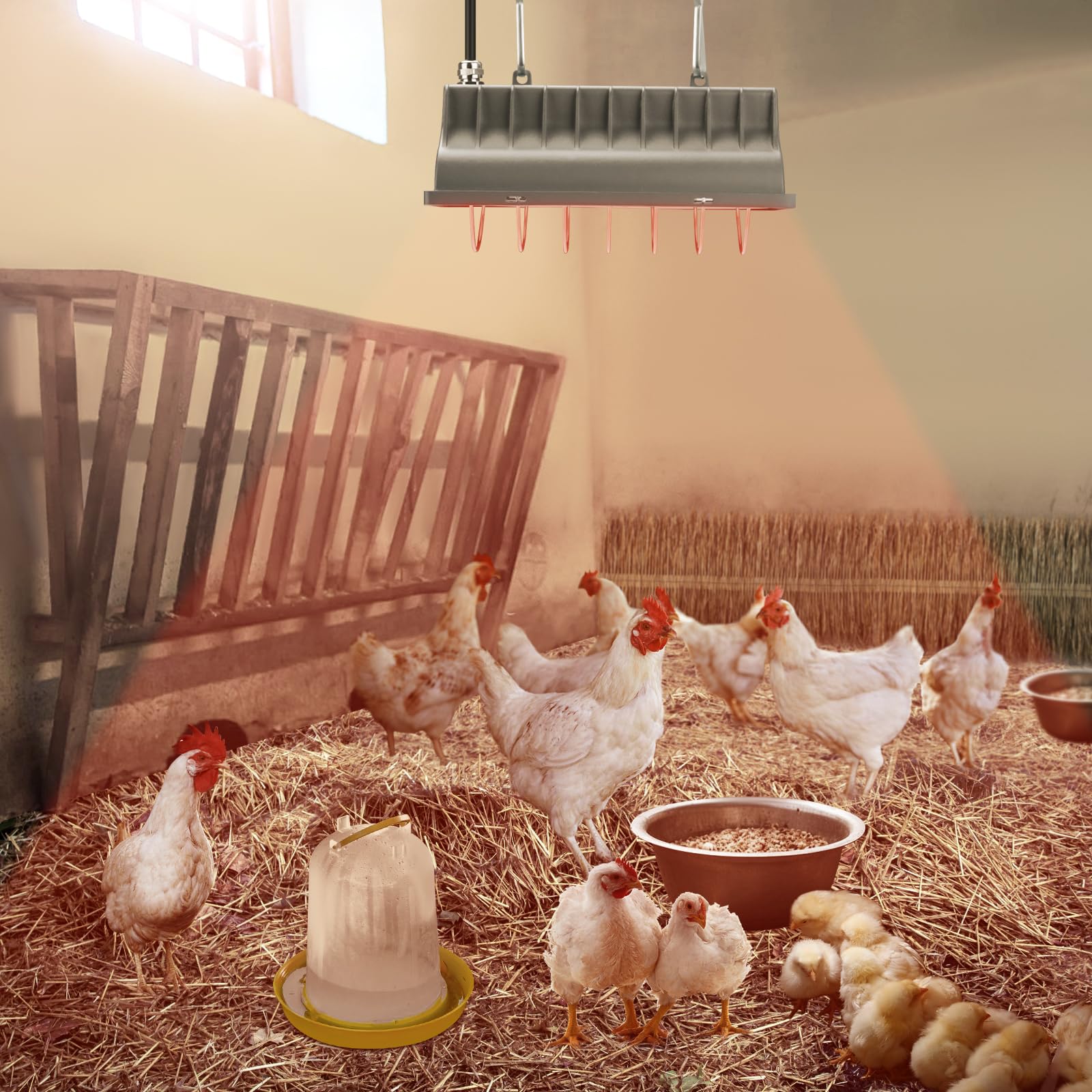 Lampada termica per pollaio, per cucce per cani, gatti, rettili e incubatrici, 250 W, regolabile, con 2 impostazioni di calore, per pollame, bestiame e animali domestici
