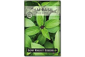 Sow Right Seeds Sweet Large Leaf Thai Basil Herb Plant Seeds for Planting with Instructions