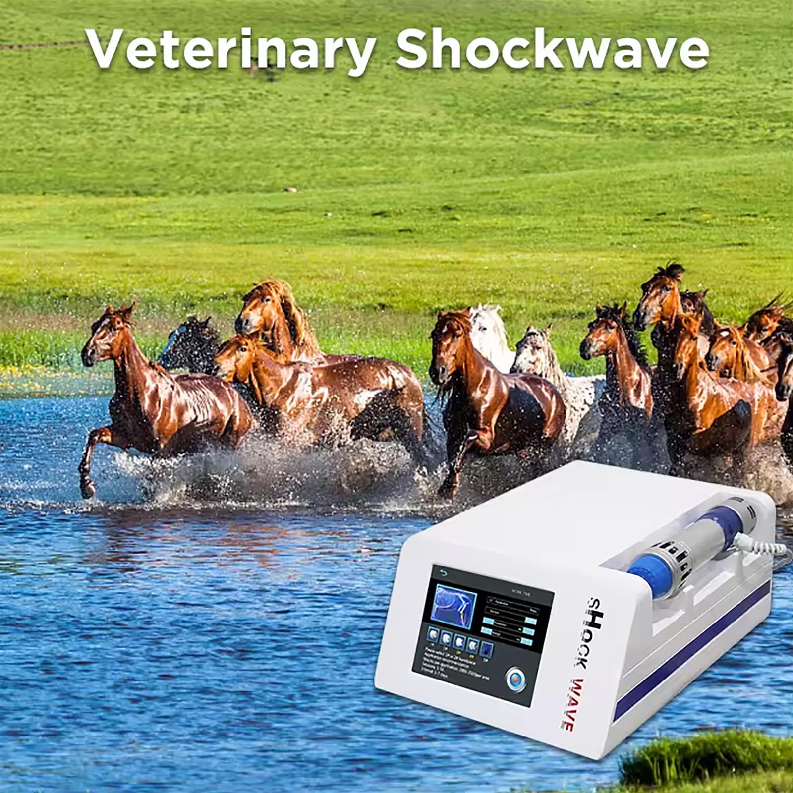 Macchina Ad Onde D'urto ED Veterinaria, Terapia Ad Onde D'urto Focalizzate Extracorporee con 7 Sonde, Intensità Regolabile 60-200mJ E Frequenza 1-16HZ, profondità nella Pelle 8cm, per Cavallo