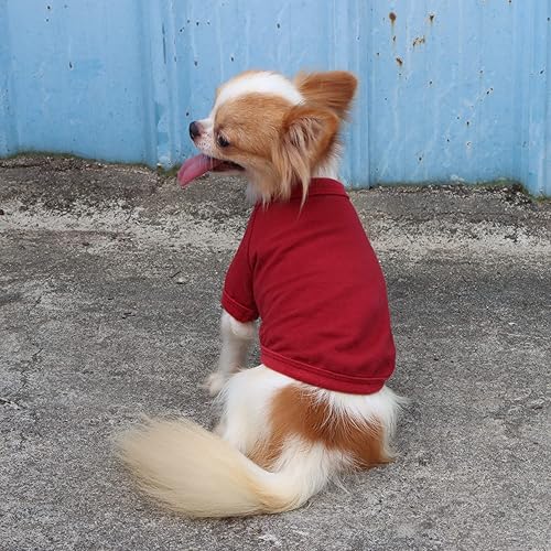 Miniatura 7 de LOPHIPETS Camiseta de perro 100% algodón para perros pequeños, taza de té Chihuahua, Yorkie, ropa para cachorros, color rojo, S