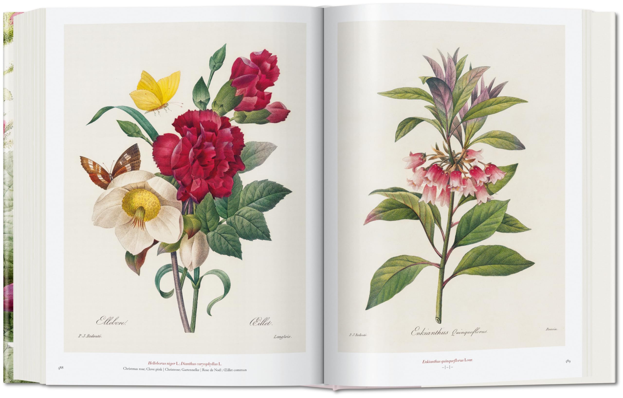 Il libro dei fiori [Lingua inglese]