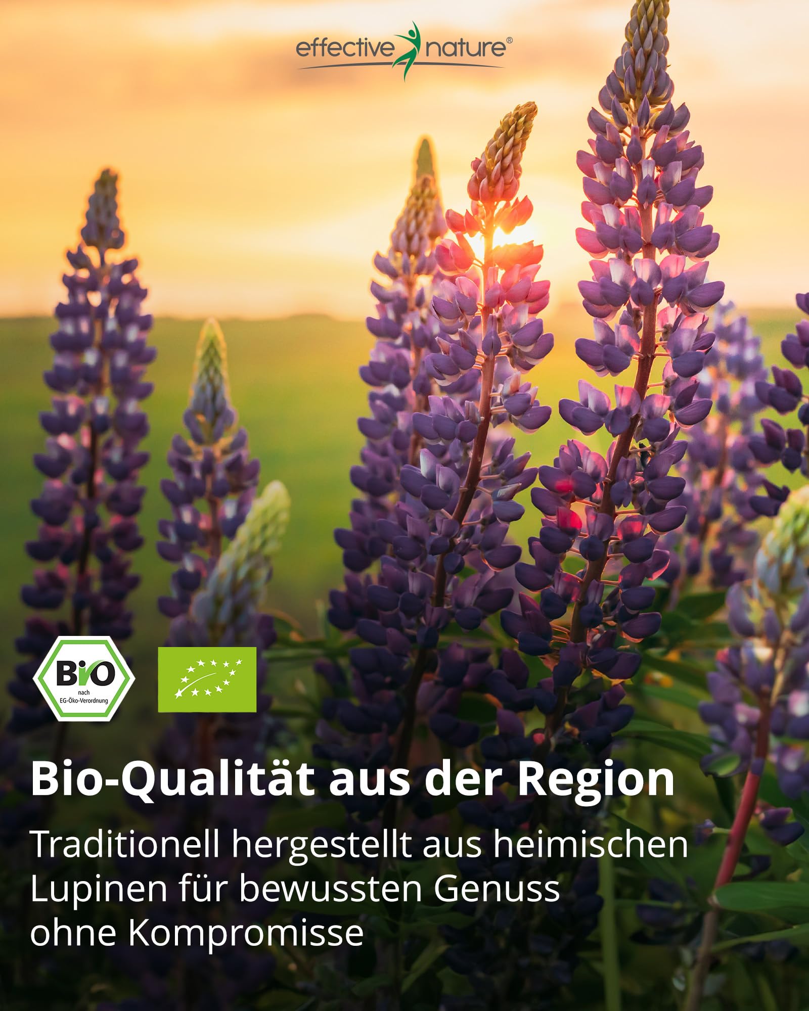 effective nature Lupinenkaffee 500 g Pulver - Koffeinfreier Kaffeeersatz aus Süßlupine - Basisch - Vollmundig & Nussig - Regional aus Deutschland