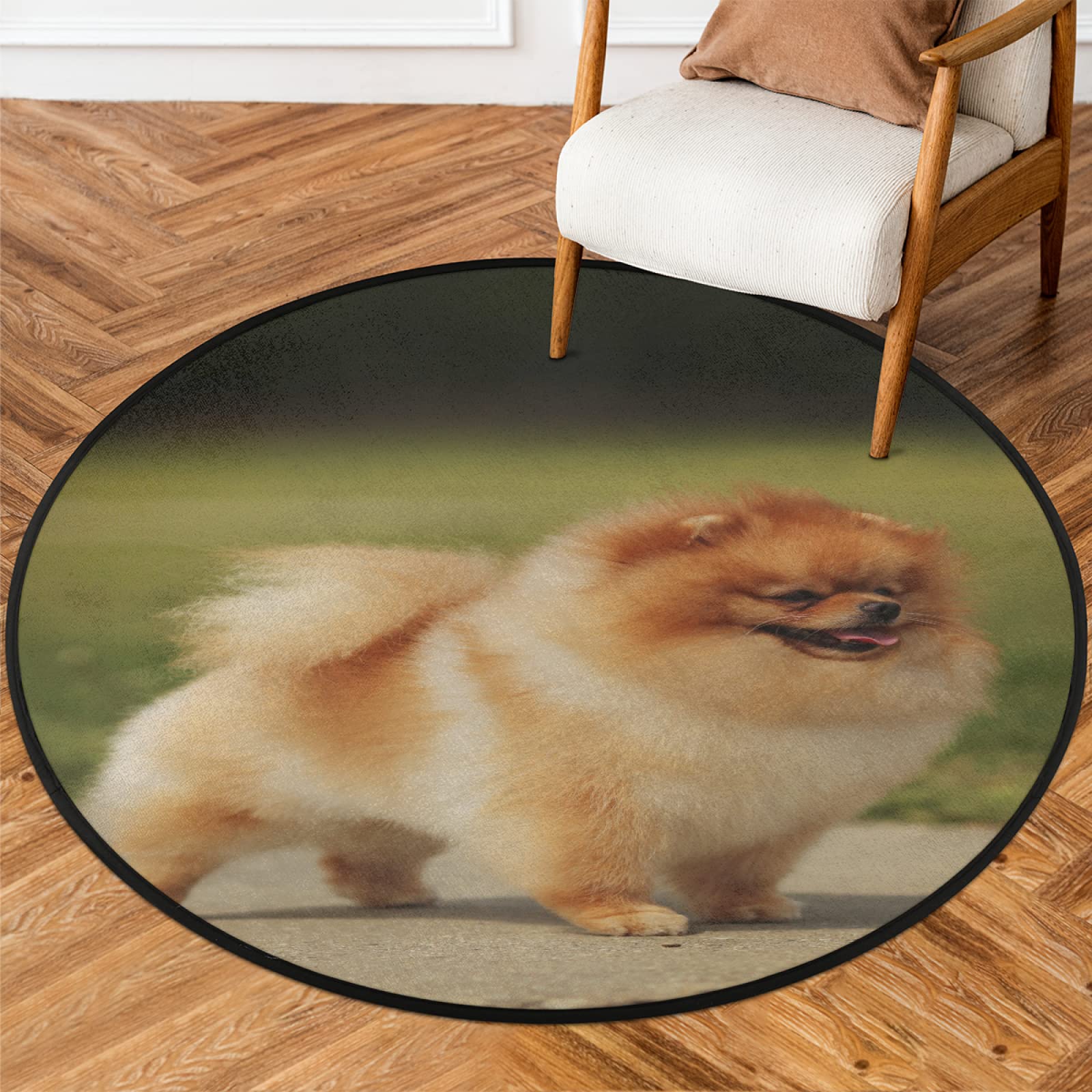 Tapis rond mignon de Poméranie de 91,4 cm, lavable en machine, antidérapant, doux, pour salon, chambre d'enfant, décoration de chambre d'enfant